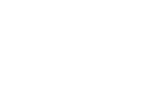 The Forest